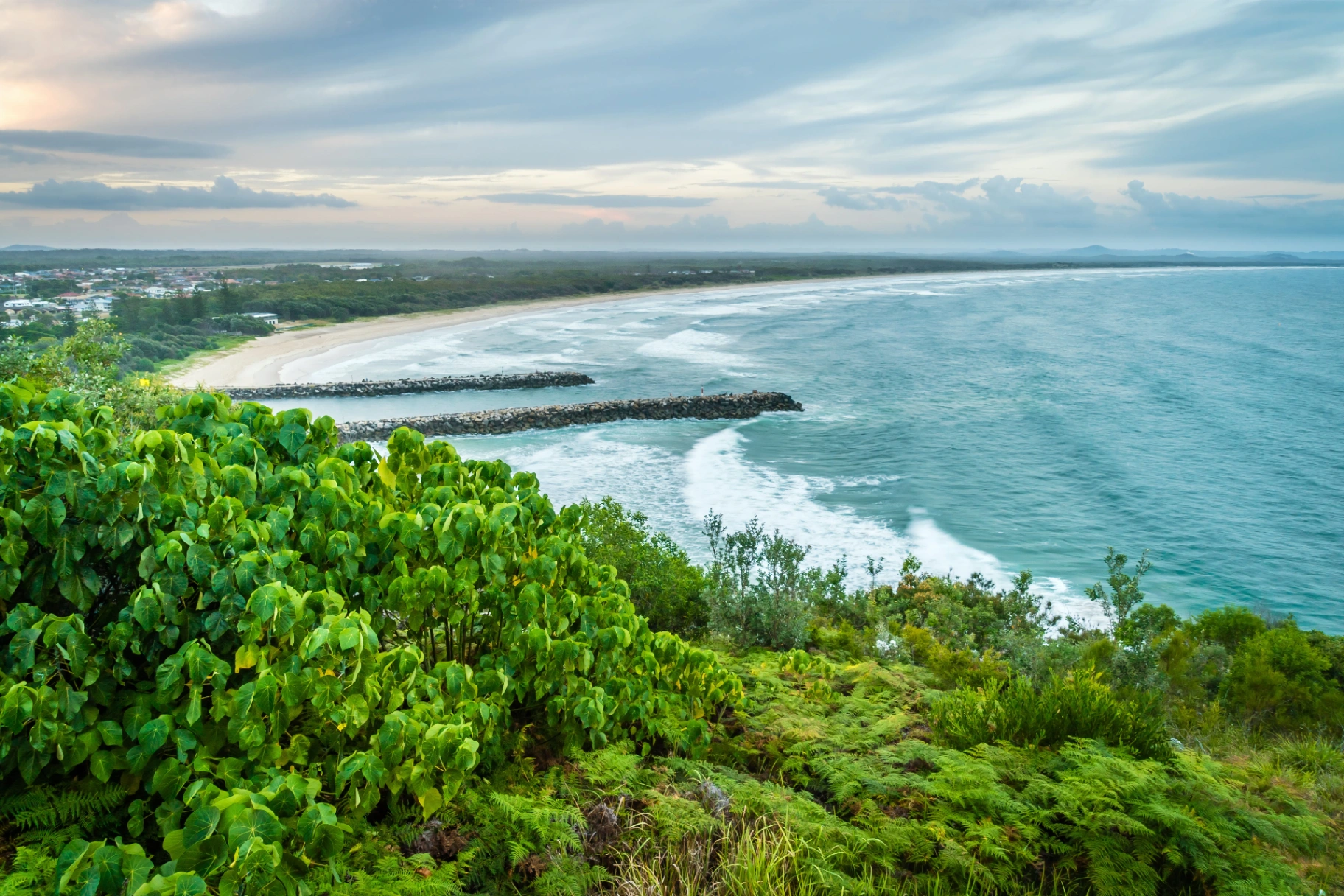An Aerial View Of A Beach And Headland With Lush Greenery — Headlands Glass in Evans Head, NSW