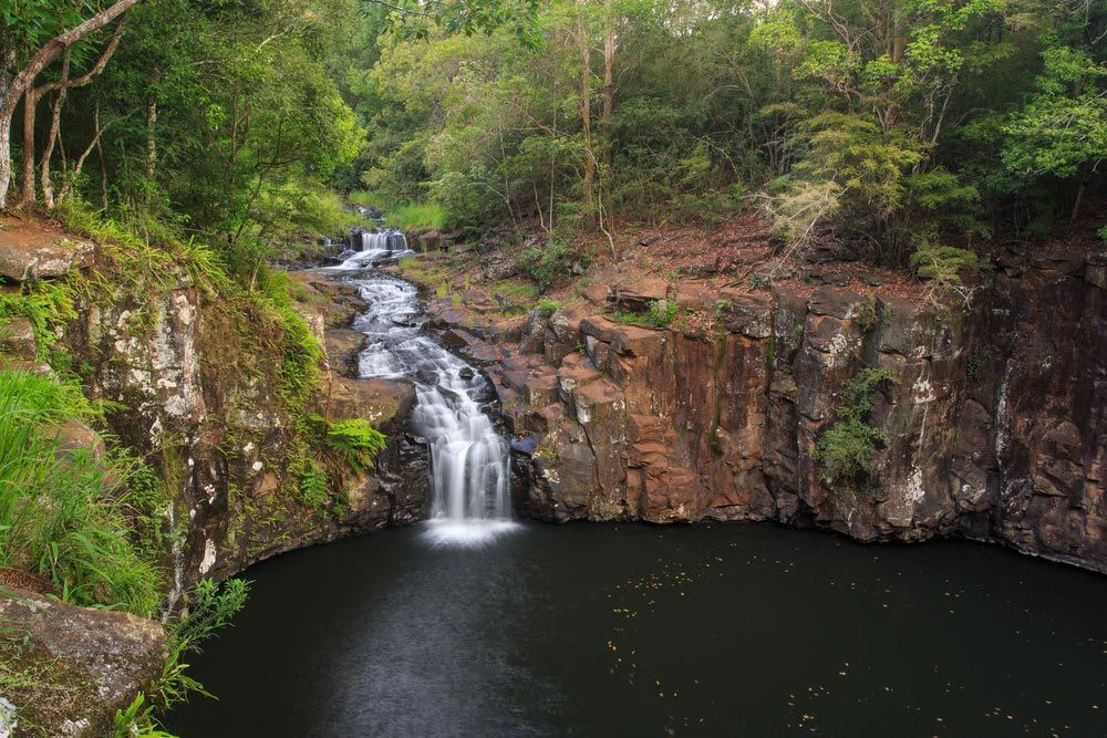 A Waterfall Is Surrounded By Trees And Rocks In The Middle Of A Forest — Headlands Glass in Alstonville, NSW