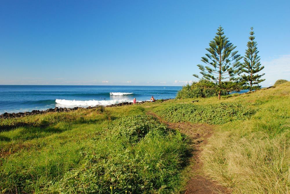Ocean With Trees On The Side — Headlands Glass in Lennox Head, NSW