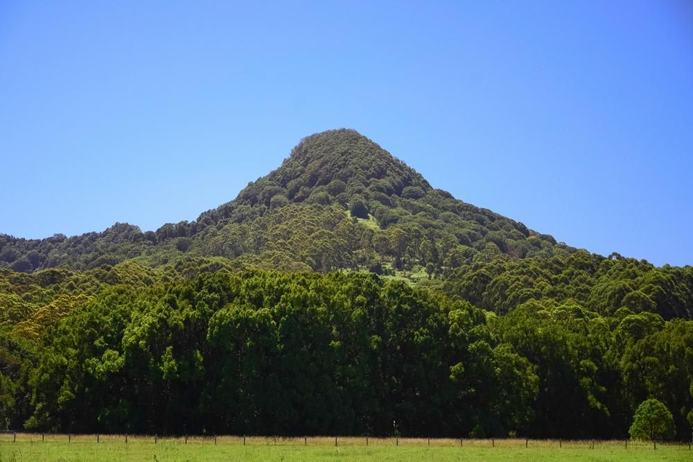A Mountain With Trees on It and a Field in Front of It — Headlands Glass in Mullumbimby, NSW